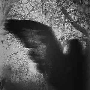 Picture for song 'SUPER TRAP x DARK BEAT' by artist 'howww'