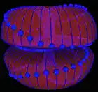 Picture for song 'unfinished- soul progression' by artist 'Th30ry'