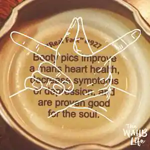 Picture for song 'BOOTY SAUCE' by artist 'The WAHB Life Beats'