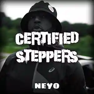 Picture for song '"Certified Steppers" UK Drill x NY Drill Type Beat' by artist 'neyoooo36'