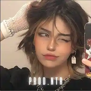 Picture for song 'FREE Boom Bap Jazz Type Beat - BEAUTY' by artist 'Prod.ntr'