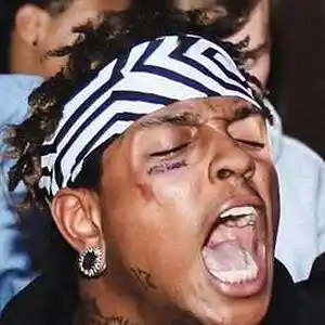 Picture for song 'i don't even rap tho' by artist 'SIAHhighashell'