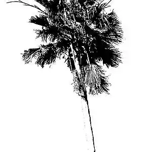 Picture for song 'On A Tuesday' by artist 'Viduals'