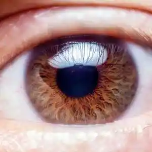 Picture for song 'Hundred Less Seven' by artist 'Big Albert'