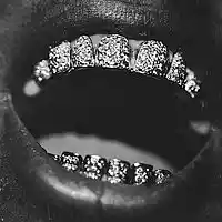 Picture for song 'Grillz' by artist 'COVRTLVRZ'