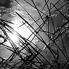 Picture for song 'silver' by artist 'Dark Productions Music Group'