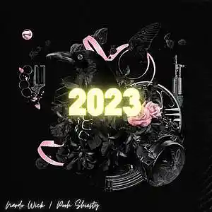 Picture for song '"2023" Nardo Wick & Pooh Shiesty & Future Beat' by artist 'D V 1 R V E R S BEATS'