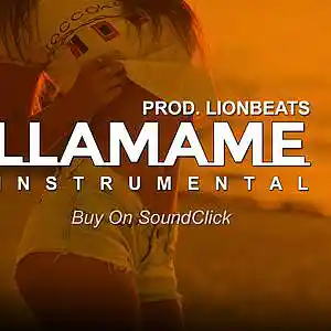 Picture for song 'Bad Bunny Type Beat Smooth Trap Beat "Llamame"' by artist 'Prod.LionBeats'