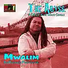 Picture for song 'The ABYSS (Radio Edit)' by artist 'Mwalim DaPhunkeeProfessor'