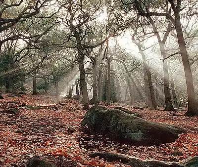 Picture for song 'Bad Save' by artist 'The Better Tomorrow'