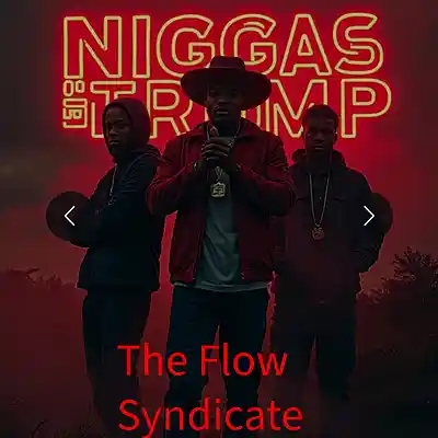 Picture for song 'Save America featuring Jonboy Johnson' by artist 'The Flow Syndicate'