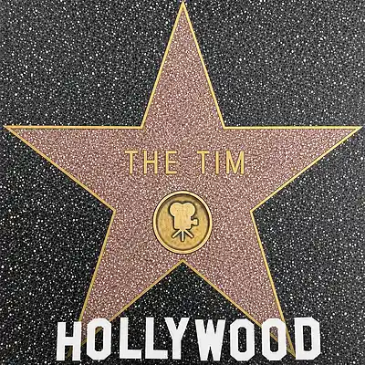 Picture for song 'Hollywood (N-Sin Blu Mix)' by artist 'The Tim (Tim1andonly)'