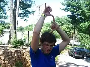 Picture for song 'Silly Love Songs' by artist 'Clint Mann'