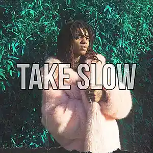 Picture for song 'Take Slow | Free Download' by artist 'Frankenstein Beats'
