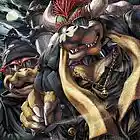 Picture for song 'Bowsers Bacc' by artist 'kay9onthetrak'