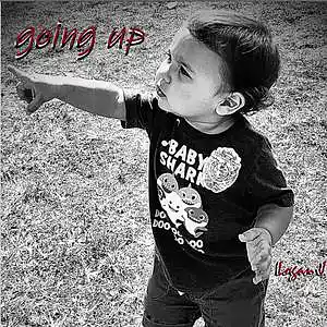 Picture for song 'Going Up' by artist 'Logan J.'