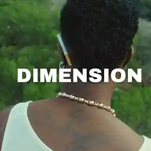 Picture for song 'Afrobeat Instrumental - Dimension' by artist 'Mindkeyz'