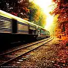 Picture for song 'Run a Way' by artist 'Not HollyWood Production'