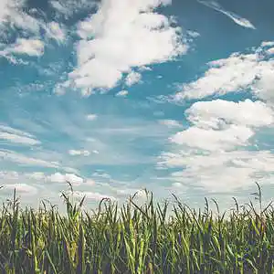 Picture for song 'Benjamins' by artist 'P.R Beats'