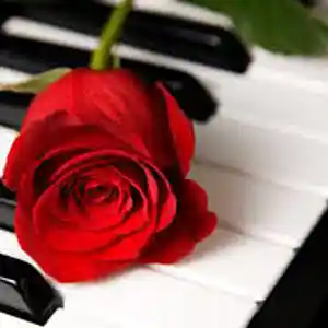 Picture for song '"FREE" Rnb Beat Love Piano Slow prod by ADJAKY Be' by artist 'Adjaky BeatZ'