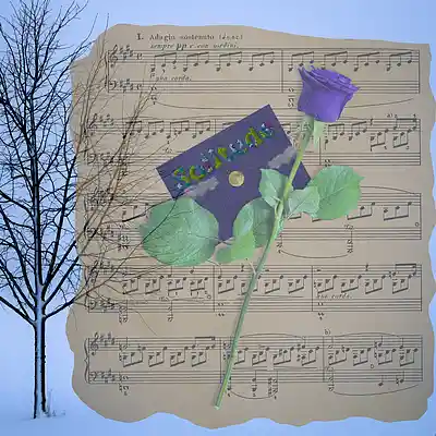 Picture for song 'Bach-Preludio No. 1, BWV 846' by artist 'Antonio Rotunda'