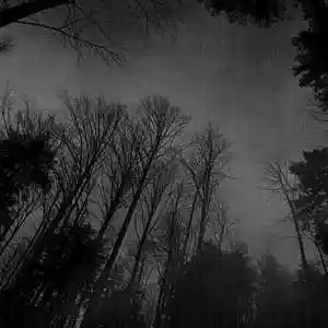 Picture for song 'Pandemic 150 BPM' by artist 'Chipz On The Beat'