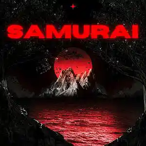 Picture for song 'Samurai' by artist 'DemonNight'
