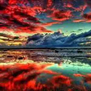 Picture for song 'Mushroom Pillow' by artist 'Johanna Renfro'