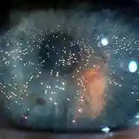 Picture for song 'One More Kiss' by artist 'Leonard Scaper'