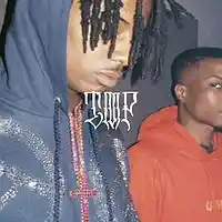 Picture for song 'Pierre borne x playboi carti type beat - elevated' by artist 'LifeorDeath Entertainment'