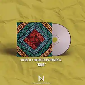 Picture for song 'Afrobeat x Reggaeton - Kuia' by artist 'Noise The Wizard'