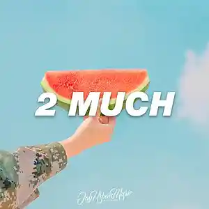 Picture for song '2 Much (Chill Hip-Hop)(BUY 1 GET 1 FREE!)' by artist 'JayUrbanMusic'