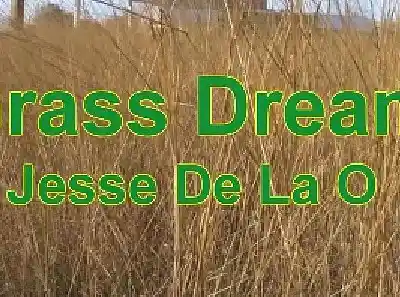 Song picture of 'Grass Dream'