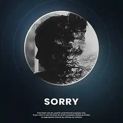 Picture for song 'Sorry (Sad Hip-Hop)' by artist 'JOHN TAO'