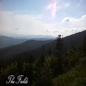 Picture for song 'The Fields' by artist 'Sean Ferree'