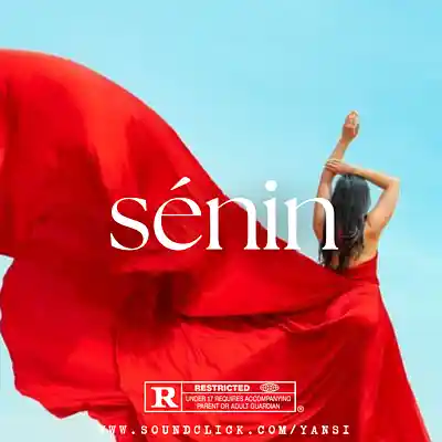 Picture for song '"Sénin" Arabic Afrobeat x Oud Type Beat' by artist 'yansi'