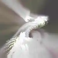 Picture for song '13.sighs in summer wip' by artist 'BGN'