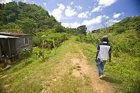 Picture for song 'free jah people.mp3' by artist 'IMMARTEL LAING'