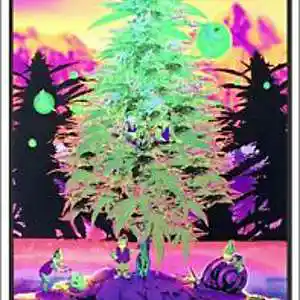 Picture for song 'midNIGHT ForesTree (BUY 1 GET 1 FREE)' by artist 'Jay Coda Productions'