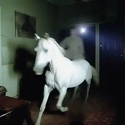 Picture for song 'Weird Vibes (Buy 1 get 3 FREE)' by artist 'Jorginho B'