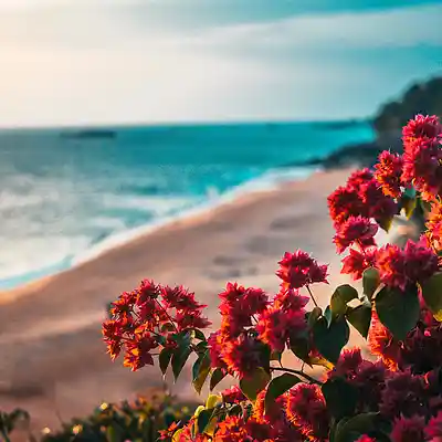 Picture for song 'LSD - Summer Dancehall. [BUY 2 & GET 3]' by artist 'LAWSTY'