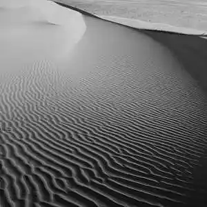 Picture for song 'SUNLIGHT 155 BPM' by artist 'Le Black James on the Track'