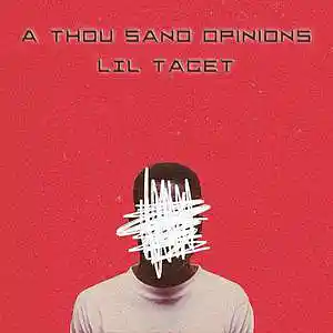 Picture for song 'a thousand opinions' by artist 'LIL TACET'
