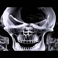 Picture for song 'Master Of Darkness (Beat Sold)' by artist 'Mozart Jones Productions (Mozarts Beats)'