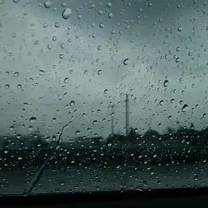 Picture for song 'o u t' by artist 'og naj'