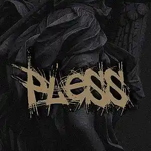 Picture for song 'pless - 3 anthem' by artist 'pless'