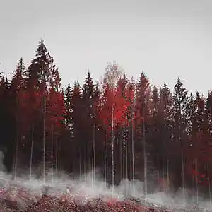 Picture for song '[SOLD] TheLandOfTheLiving' by artist 'PROMETAZZIN'