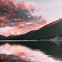 Picture for song 'SUNSHINE (Buy 1 Get 1 Free)' by artist 'Lil Sammy Beats'