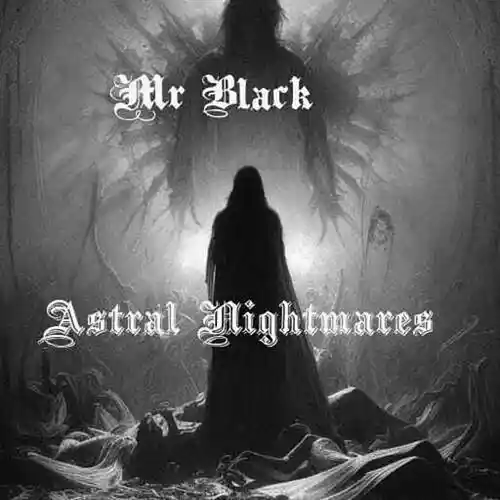 Picture for song 'The Voices wont stop' by artist 'Mr B Black'