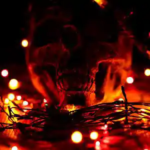 Picture for song 'The Haunted' by artist '2uo8eats'